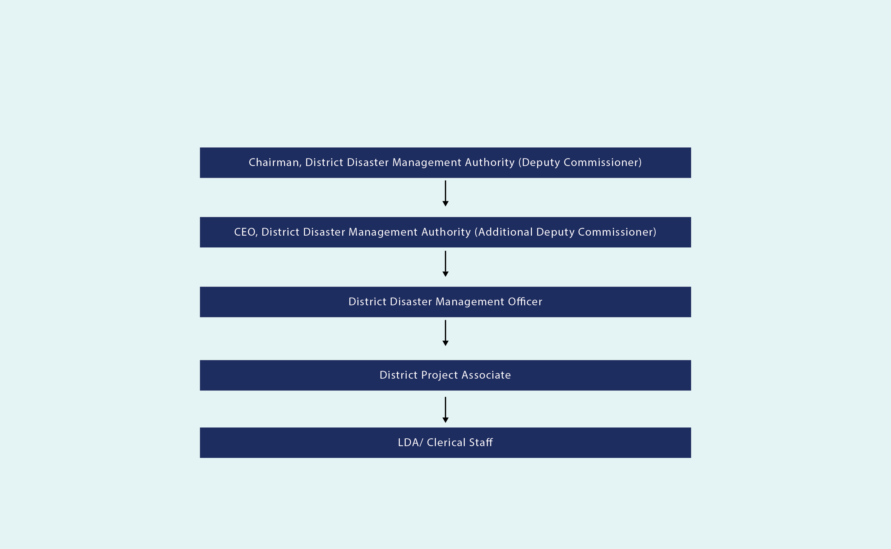organogram